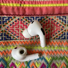 EarPods, como reportado ao iLost