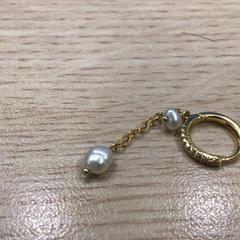 Earring, as reported by Gemeente Arnhem using iLost