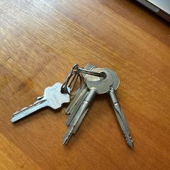 Sleutels aan sleutelhanger, gerapporteerd met iLost