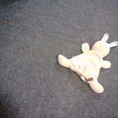 Knuffel, as reported by SnowWorld Landgraaf using iLost