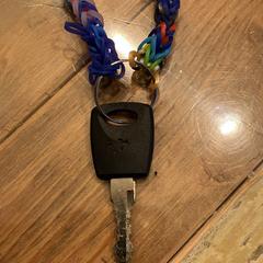 Sleuteltje aan kleurig armbandje, iLost에 보고됨