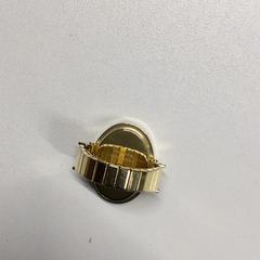 Gyűrű Horloge, amint azt Gemeente Haarlem az iLost segítségével jelentette.