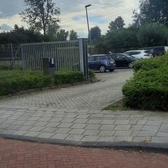 Zwarte taart met de sleutel, segons s'ha informat a iLost