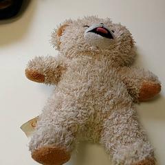 Különböző Knuffelbeer, amint azt Regio Limburg - Leuven az iLost segítségével jelentette.