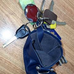 Keys, as reported by Qbuzz DMG using iLost