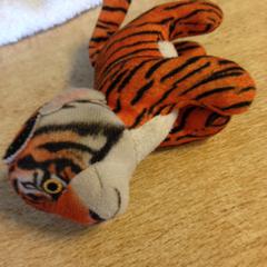 Tijger knuffeltje, as reported by Dolfinarium using iLost