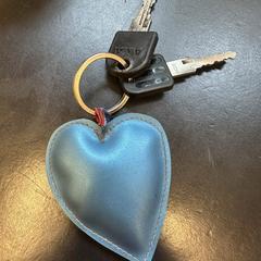 Sleutel hart sleutelhanger، كما تم الإبلاغ عنه عبر iLost