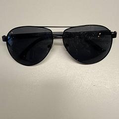 Sonnenbrille Zwart, gemeldet von Burgers' Zoo über iLost