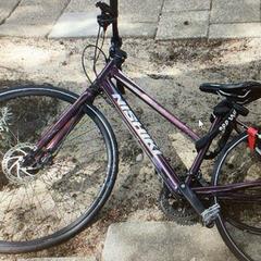 Bicicletta Nishiki Paars, come riportato da Gemeente Weert utilizzando iLost