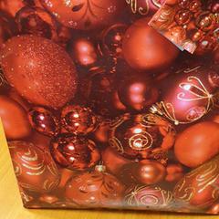 tasje, a été signalé par Keolis Blauwnet Enschede utilisant iLost