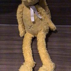 Cuddly rabbit, as reported by Van der Valk Hotel Zwolle using iLost