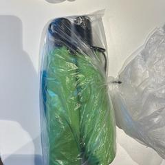 Regenschirme green, gemeldet von Amsterdam ID Aparthotel über iLost