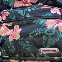Backpack, as reported by GVB using iLost