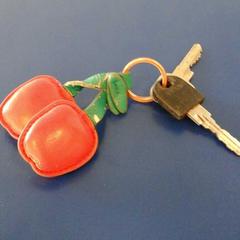 Sleutels, as reported by Connexxion Haaglanden Den Haag using iLost