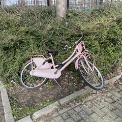 Roze meisjesfiets.، كما تم الإبلاغ عنه عبر iLost