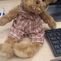 Peluche Brun, ha sido reportado por IKEA Haparanda con iLost