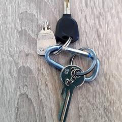 Keys, as reported by EBS Tramplein using iLost