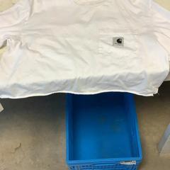 Camisa Carharrt wit, como reportado por Artis utilizando o iLost