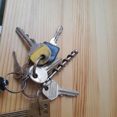 Set of keys, som rapporterats till iLost