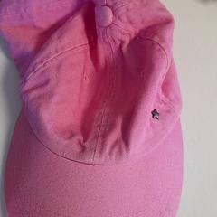 캡 Roze, iLost를 사용하여 Dolfinarium에 보고됨