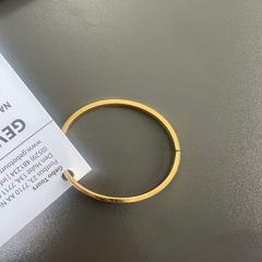 Armband, rapporterat av Gebo Tours med iLost
