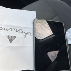 iPad, gerapporteerd met iLost