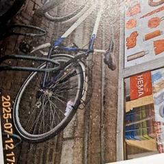 Bicikli Gerida Wit / blauw, amint azt Gemeente Roermond az iLost segítségével jelentette.