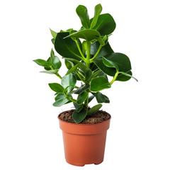 IKEA-produkt, gemeldet von IKEA Marseille - Vitrolles über iLost