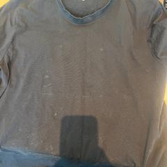 Camisa, segons ha informat Mainport mitjançant iLost