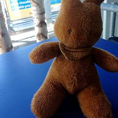 ブランケット Lapin Marron がiLostで IKEA Rennes - Pacé によって報告されました