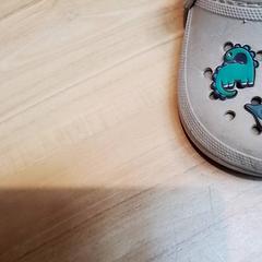 Instap schoenen, rapporterat av Beekse Bergen Resorts en Hotel med iLost