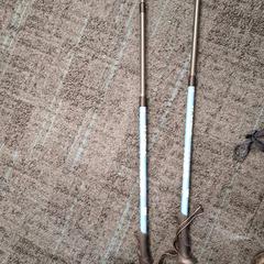 Walking sticks, as reported by Breng Nijmegen using iLost