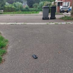 Sleutels in zwarte etui  ( merk CB) met ¹poepzakje, gerapporteerd met iLost