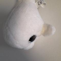 Peluche, come riportato da Dolfinarium utilizzando iLost