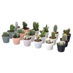 Produit IKEA, a été signalé par IKEA Wilrijk utilisant iLost