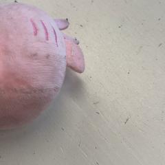 Peluche, come riportato da GVB utilizzando iLost