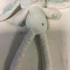 Knuffel, as reported by Artis using iLost