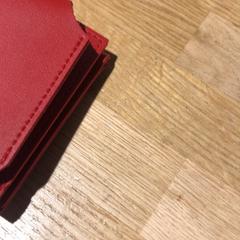 Red wallet, a été signalé par Designer Outlet Roermond utilisant iLost