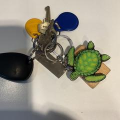 Klucze, zgłoszono przez Gemeente Amsterdam przy użyciu iLost