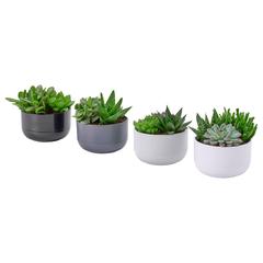 IKEA termék, amint azt IKEA Matosinhos az iLost segítségével jelentette.