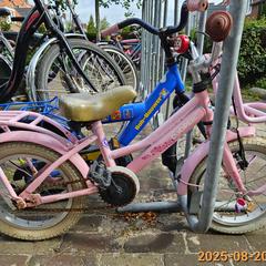 Bici per bambini Cooper rose, come riportato da Gemeente Heemstede utilizzando iLost
