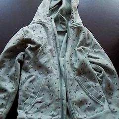 Vestje Blauw, a été signalé par Apenheul utilisant iLost