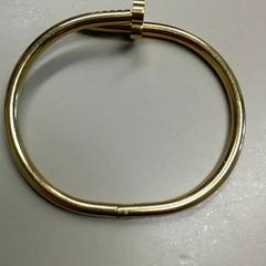 Armband Goud, rapporterat av Burgers' Zoo med iLost