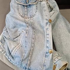 Jacke, gemeldet von Qbuzz GD Groningen HS über iLost