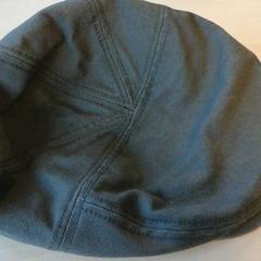 Pet, conforme relatado por Connexxion Zeeland usando o iLost