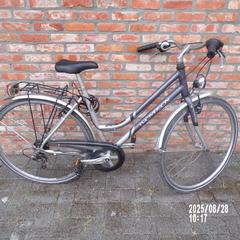 Bizikleta Thompson, paars en grijs, dames, gisa salatu by Fietsdepot Leopoldsburg iLost erabiliz