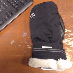 Want / Handschoen, zoals gemeld door SnowWorld, Landgraaf met iLost