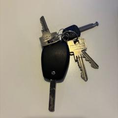İLost kullanarak Gemeente Meierijstad tarafından bildirildiği gibi Anahtarlık o.a. autosleutel