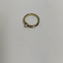 Ring, as reported by Bobbejaanland using iLost