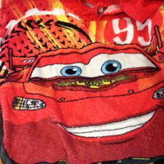 Handdoek, as reported by Dolfinarium using iLost